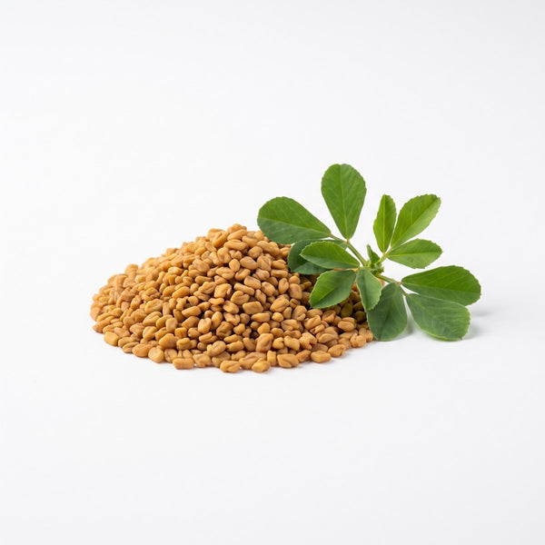 Fenugreek