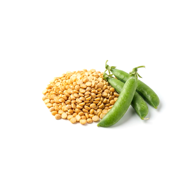 Pea Protein
