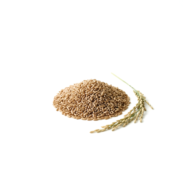 Brown Rice Protein