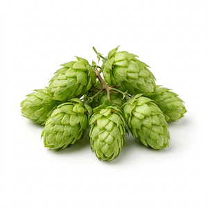 Hops Flower Extract