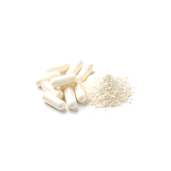 Lactobacillus Blend