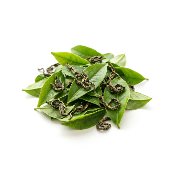 Green Tea Extract