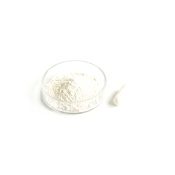 Bacillus coagulans